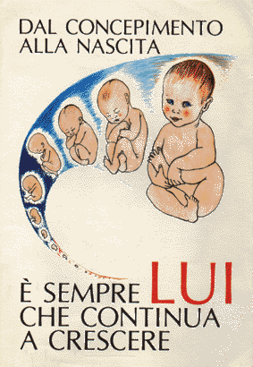 Dal concepimento alla nascita